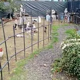 Nyghtmare Manor photo