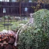 Nyghtmare Manor photo