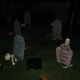 Nyghtmare Manor photo
