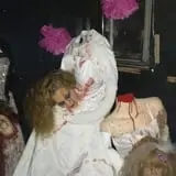 Nyghtmare Manor photo