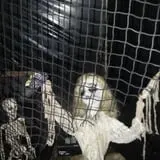 Nyghtmare Manor photo
