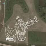 Corn Maze at Rolling Forks Vineyards photo