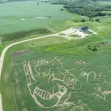 Corn Maze at Rolling Forks Vineyards photo