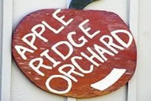 Grays Apple Ridge PYO Pumpkins