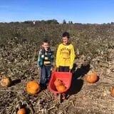 Old McDonald's Farm photo