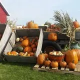 Old McDonald's Farm photo