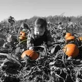 Old McDonald's Farm photo