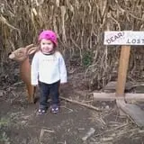 Old McDonald's Farm photo
