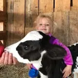 Old McDonald's Farm photo