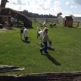 Old McDonald's Farm photo