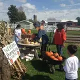 Old McDonald's Farm photo