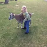 Old McDonald's Farm photo