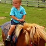 Old McDonald's Farm photo