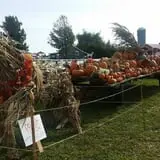 Old McDonald's Farm photo