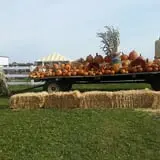 Old McDonald's Farm photo