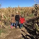 Old McDonald's Farm photo