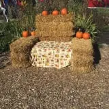 Old McDonald's Farm photo