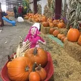 Old McDonald's Farm photo