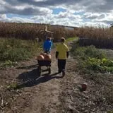 Old McDonald's Farm photo