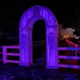 Backwoods Terror Ranch Graveyard 