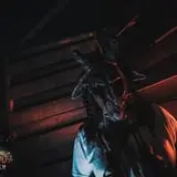 Backwoods Terror Ranch  photo