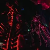 Backwoods Terror Ranch  photo