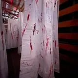 Backwoods Terror Ranch  photo