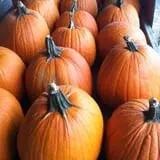 Adkins Produce photo