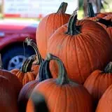 Adkins Produce photo