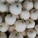 Adkins Produce photo