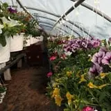 Adkins Produce photo