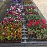 Adkins Produce photo