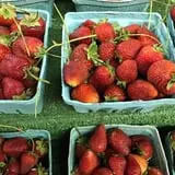 Adkins Produce photo