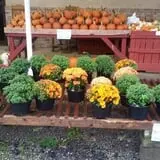 Adkins Produce photo