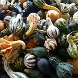 Adkins Produce photo