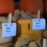 Adkins Produce photo