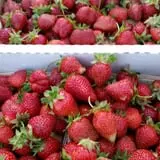 Adkins Produce photo