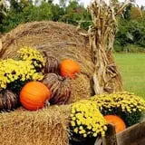 Adkins Produce photo