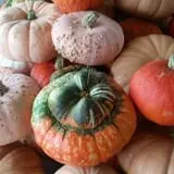 Adkins Produce photo