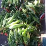 Adkins Produce photo