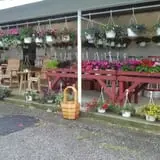 Adkins Produce photo