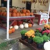 Adkins Produce photo
