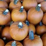 Adkins Produce photo
