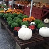 Adkins Produce photo