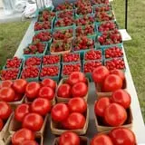 Adkins Produce photo