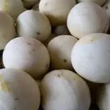 Adkins Produce photo