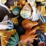 Adkins Produce photo