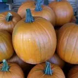 Adkins Produce photo