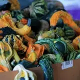 Adkins Produce photo