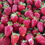 Adkins Produce photo